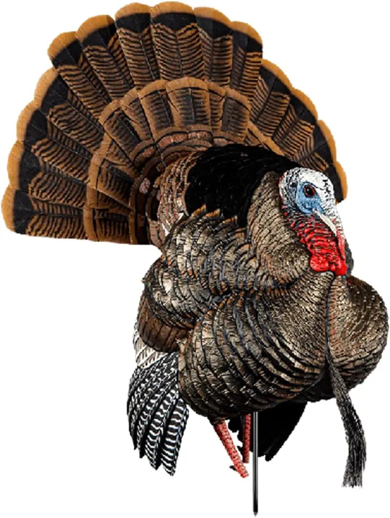 Turkey Decoy