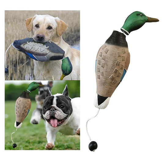 3D Mallard Dog Trainer