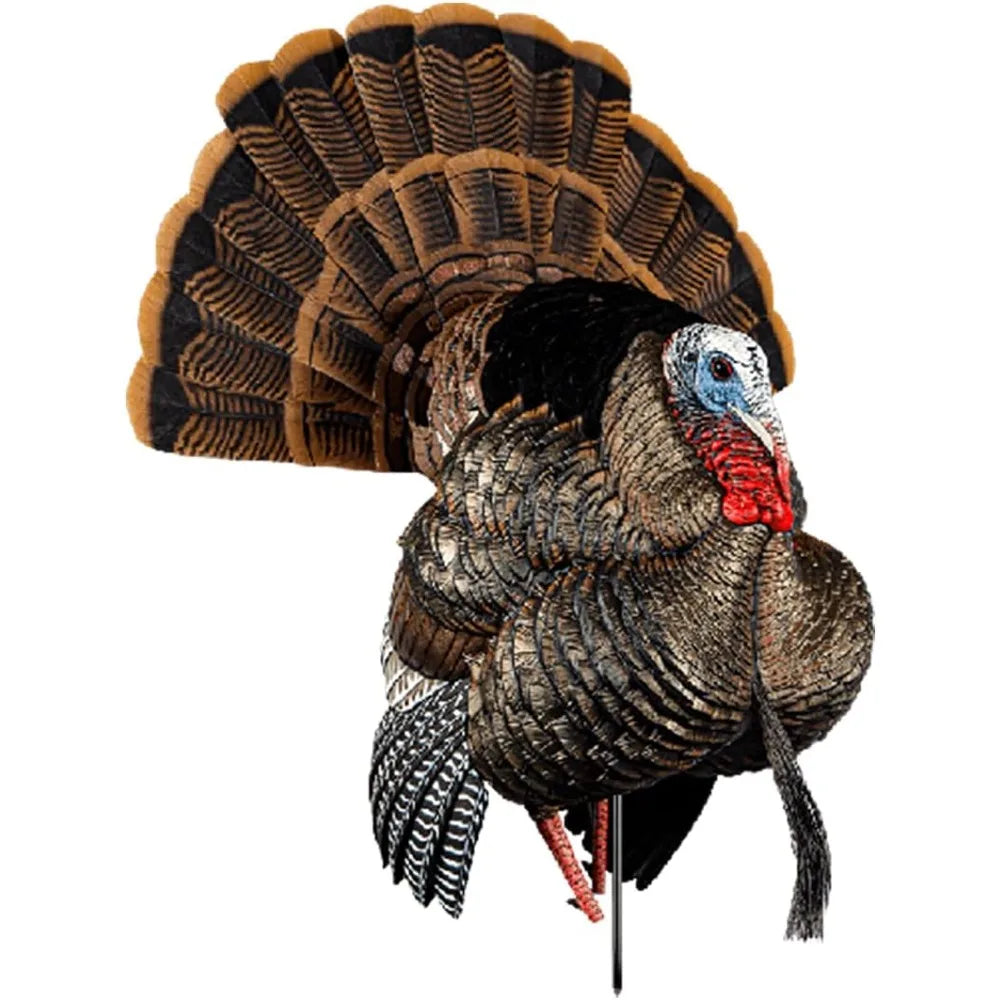 Turkey Decoy