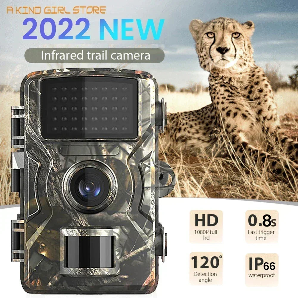 Mini Trail Camera 4K HD