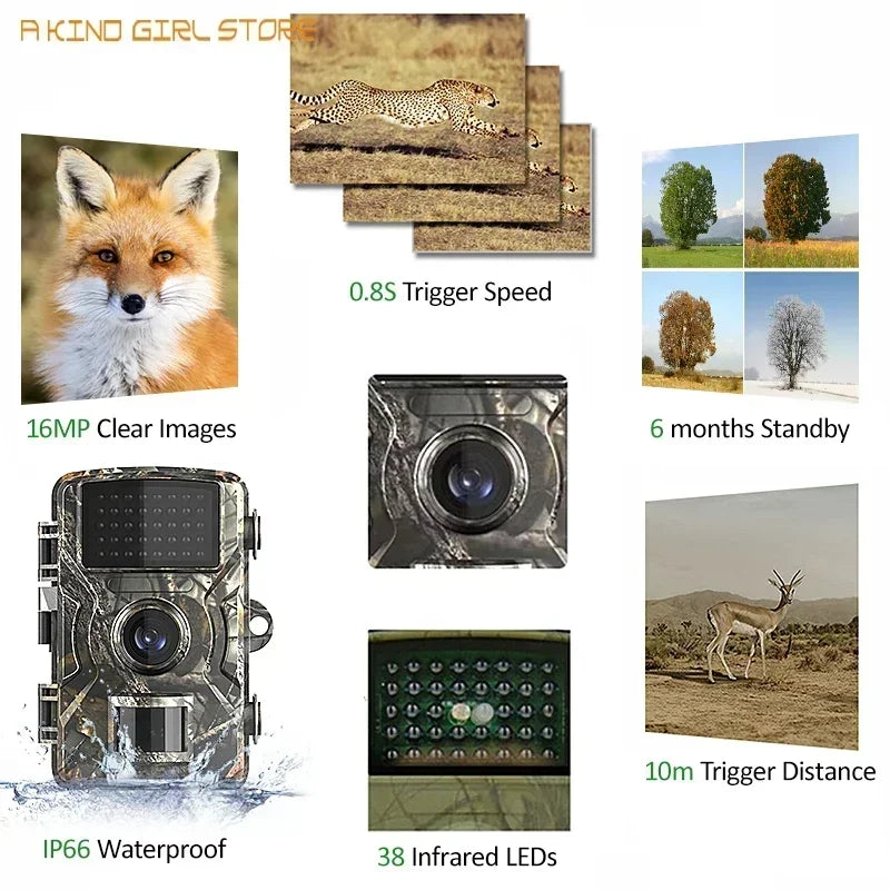 Mini Trail Camera 4K HD