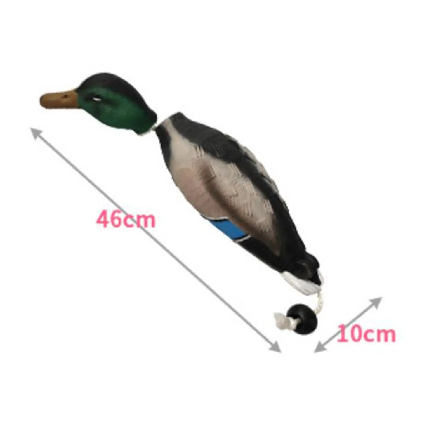 3D Mallard Dog Trainer