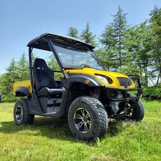 Electric Dune Buggy 4x4