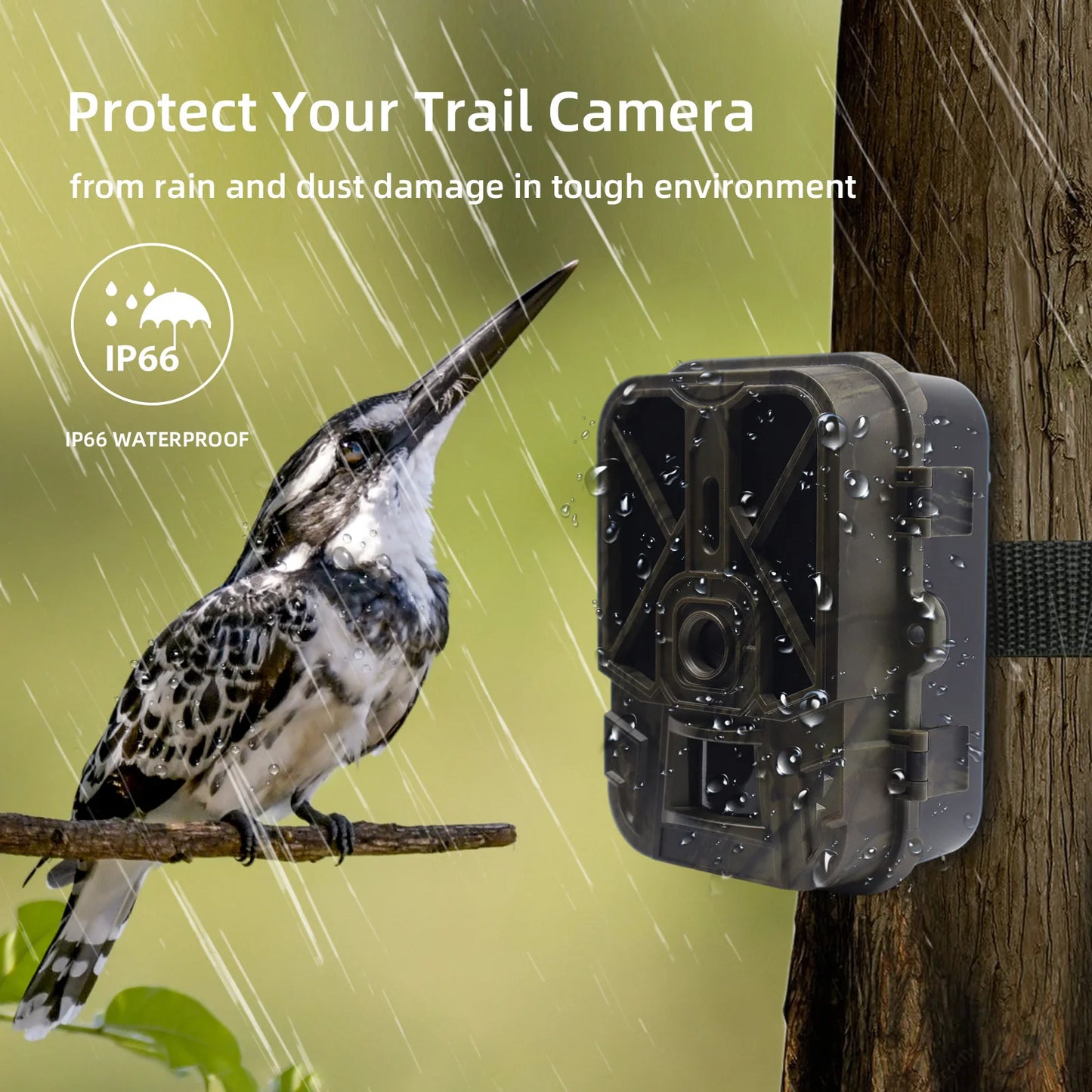 SuntekCam  Trail Camera