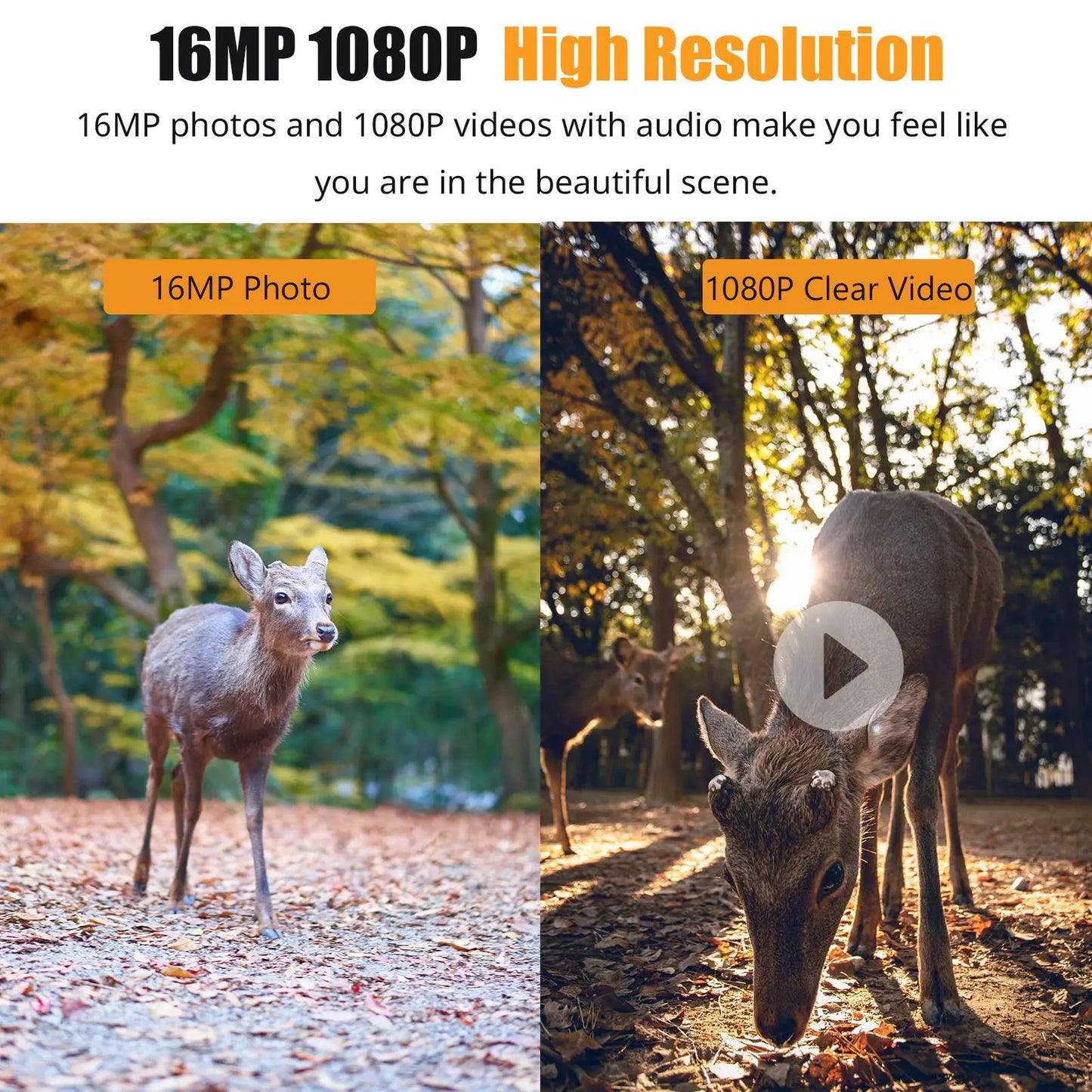 1080P Hunting Camera