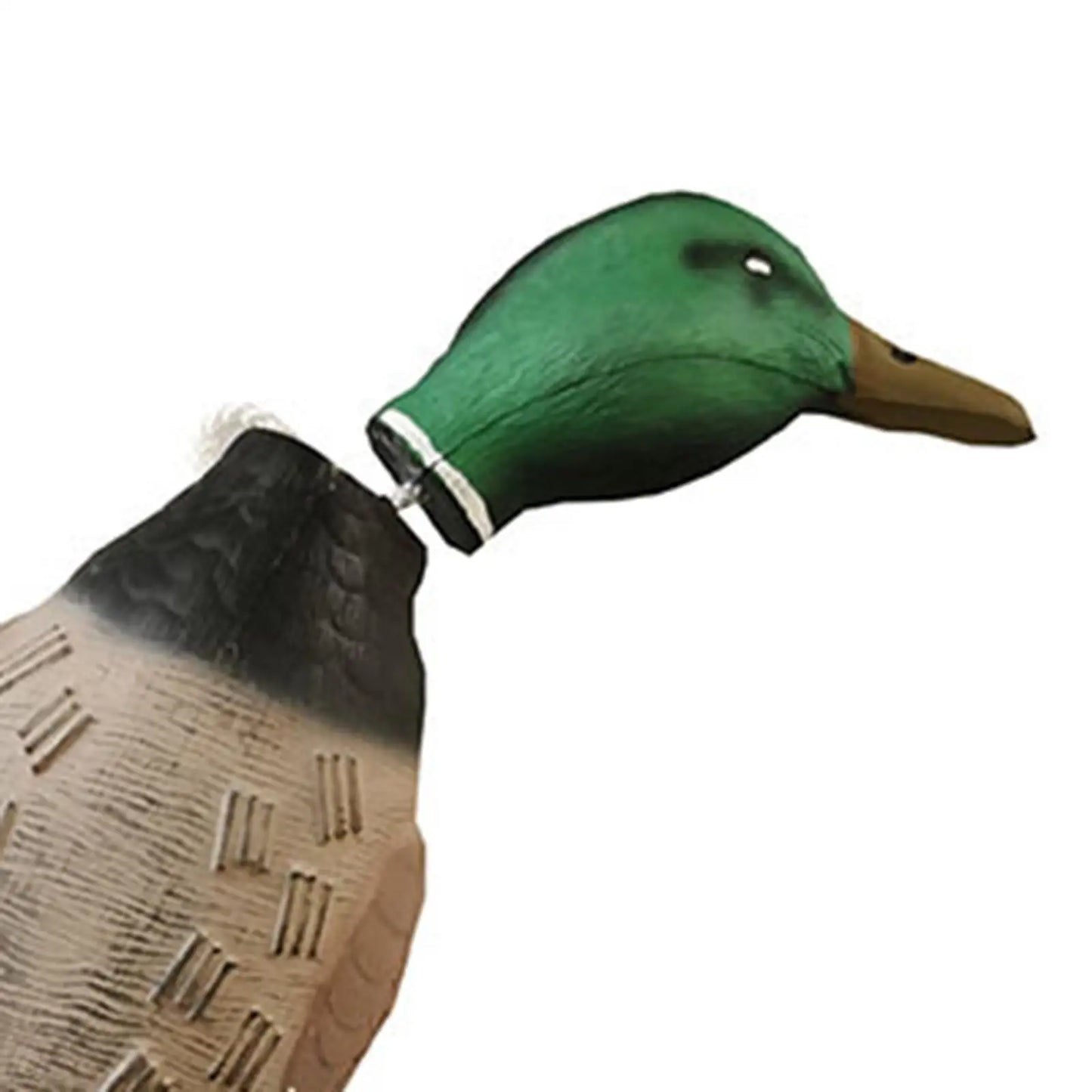 3D Mallard Dog Trainer