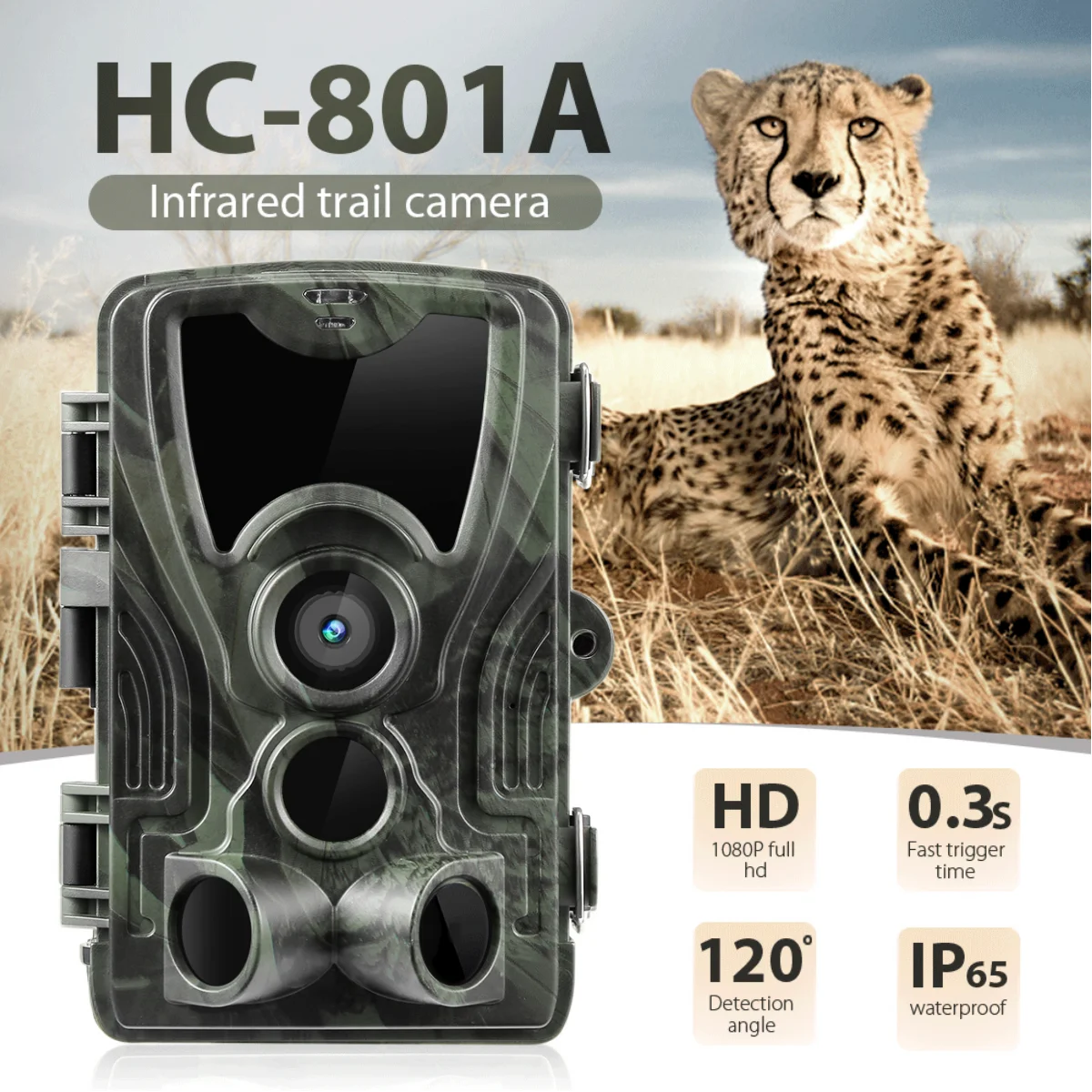 Motion Activated Trail Camera